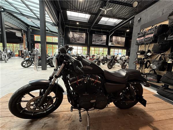 2015 HARLEY-DAVIDSON IRON