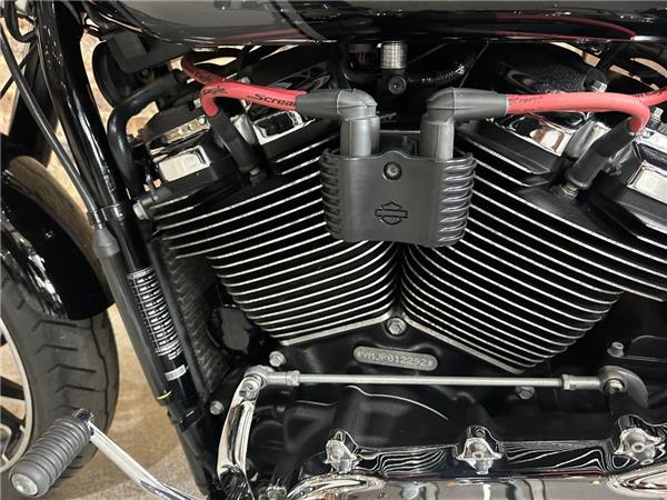 2023 Harley-Davidson Softail