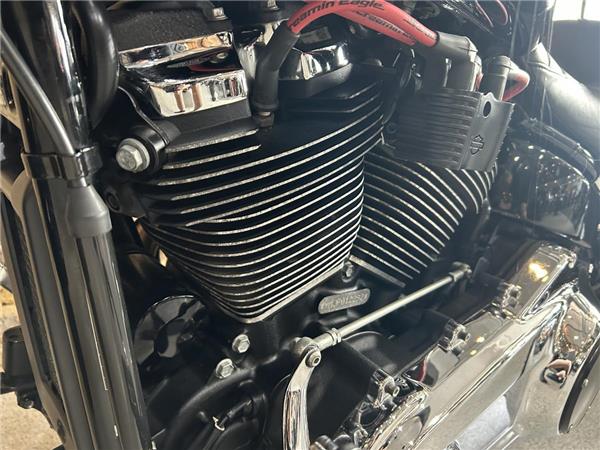 2023 Harley-Davidson Softail