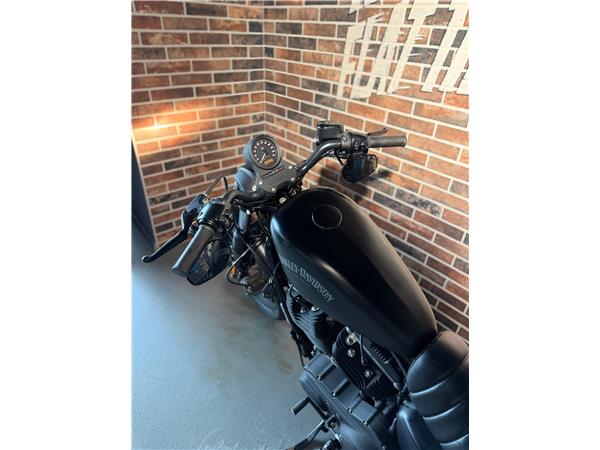 2014 harley-davidson XL 883 N Sportster Iron ABS