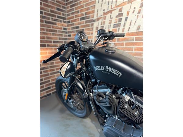 2014 harley-davidson XL 883 N Sportster Iron ABS