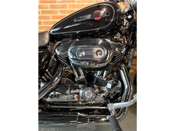 2015 harley-davidson XL 1200 C Sportster Custom ABS (35 kW)