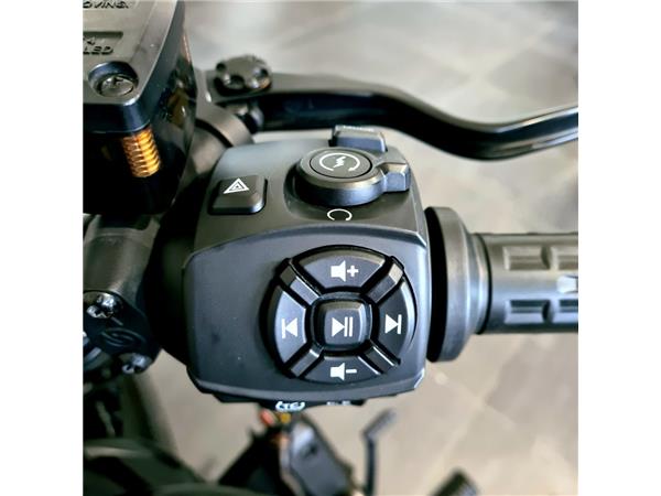 HARLEY-DAVIDSON SPORTSTER S 