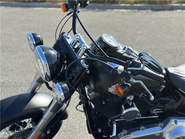 FLS Softail Slim 