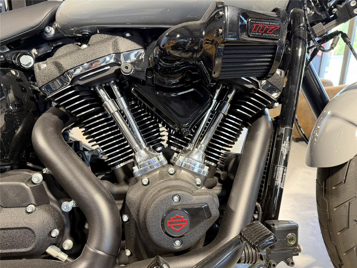 2025 HARLEY-DAVIDSON LOW RIDER