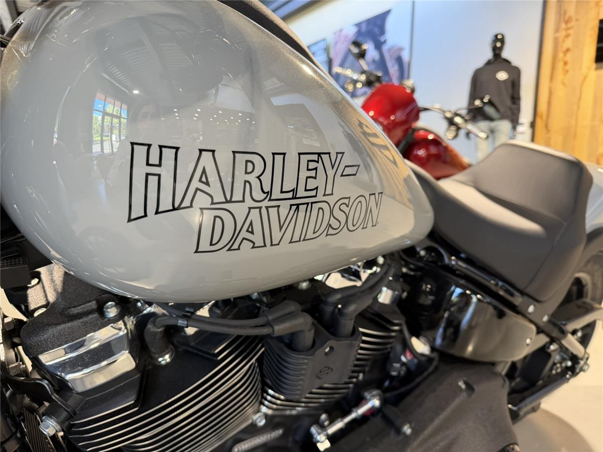 2025 HARLEY-DAVIDSON LOW RIDER