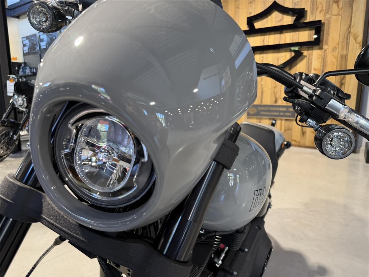 2025 HARLEY-DAVIDSON LOW RIDER