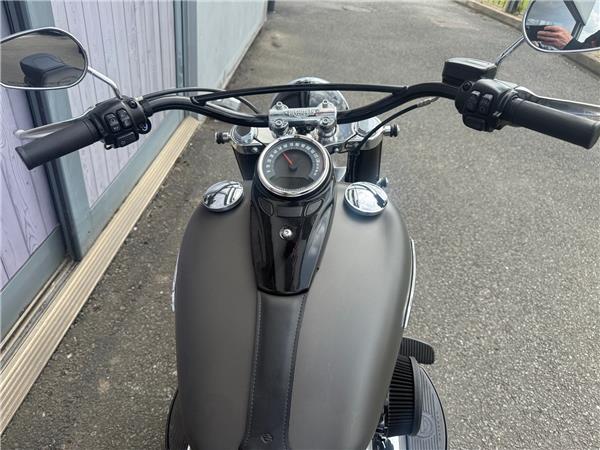 2018 HARLEY-DAVIDSON SOFTAIL FLS SLIM