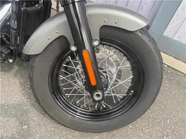2018 HARLEY-DAVIDSON SOFTAIL FLS SLIM