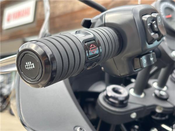 2025 HARLEY-DAVIDSON LOW RIDER ST