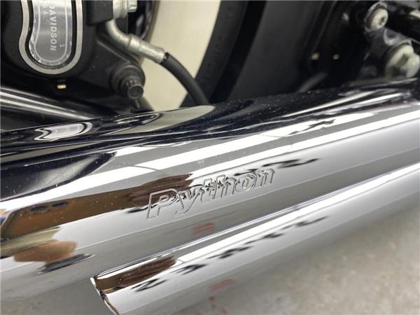2008 Harley-Davidson Softail Deluxe