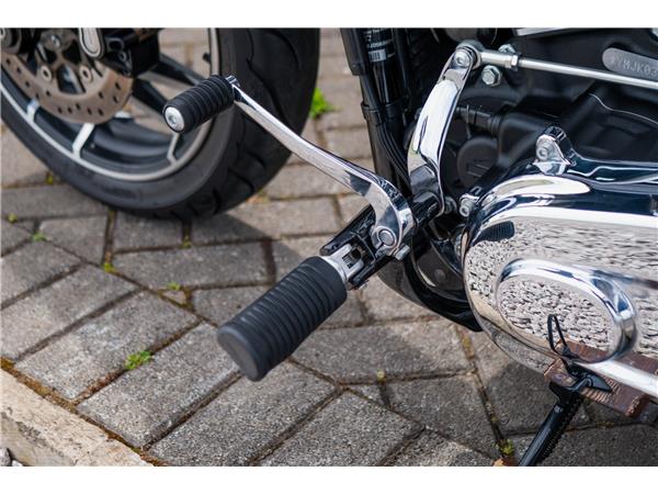 2019 Harley-Davidson Sport Glide