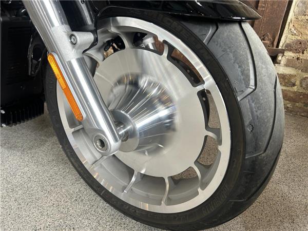 2026 Harley-Davidson Softail
