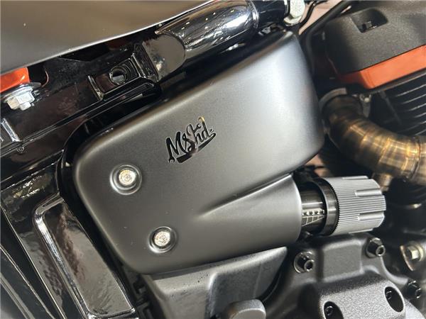 2023 Harley-Davidson Softail