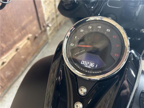 2023 Harley-Davidson Softail