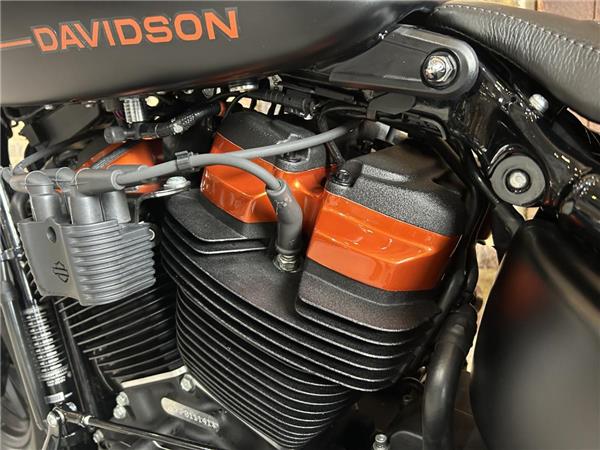 2023 Harley-Davidson Softail