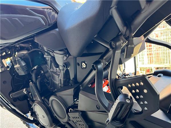2021 Harley-Davidson Pan America