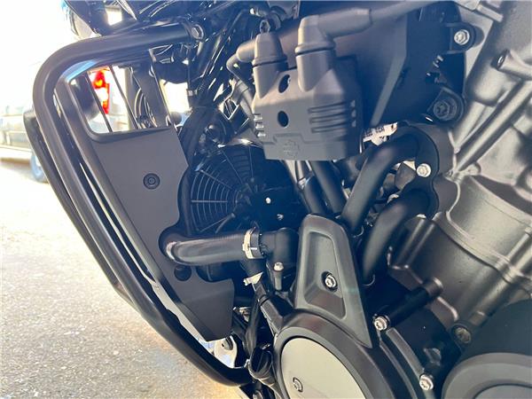 2021 Harley-Davidson Pan America