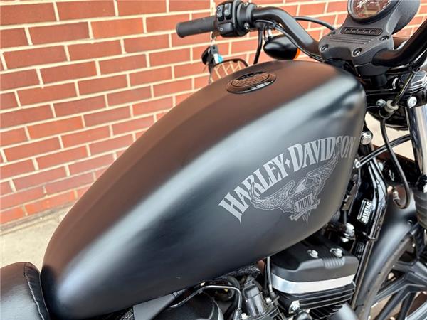 2017 HARLEY-DAVIDSON SPORTSTER XL883N IRON