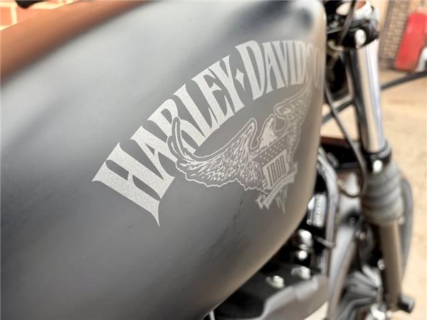 2017 HARLEY-DAVIDSON SPORTSTER XL883N IRON
