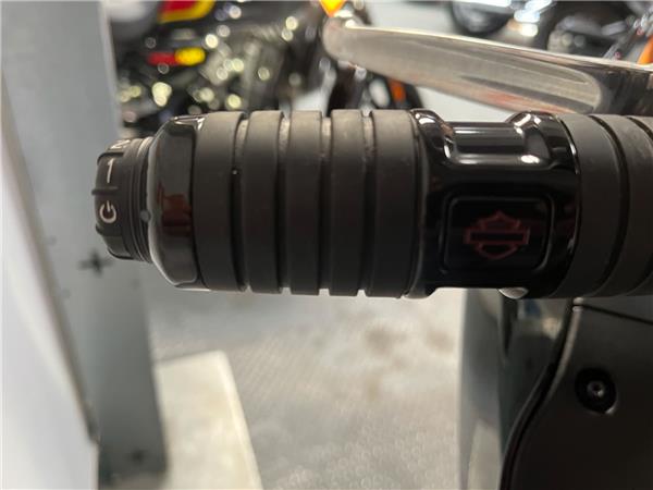 Harley-Davidson FXLRST Low Rider ST