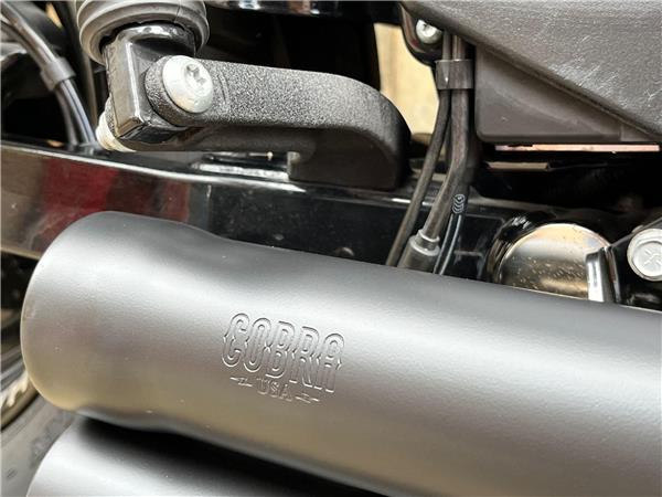 2015 Harley-Davidson Dyna