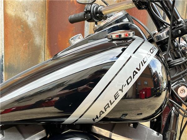 2015 Harley-Davidson Dyna