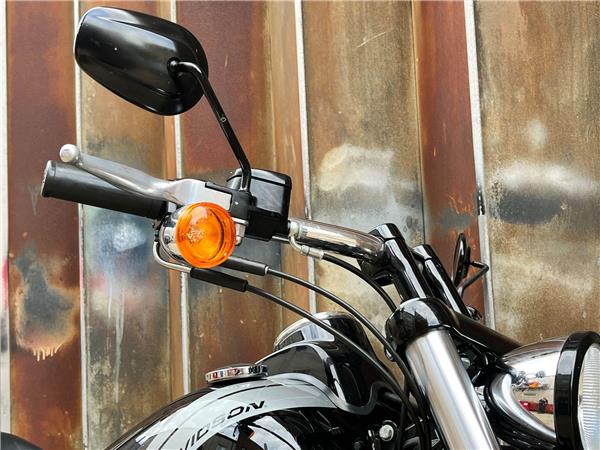 2015 Harley-Davidson Dyna