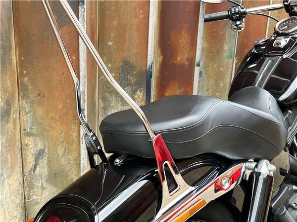 2015 Harley-Davidson Dyna