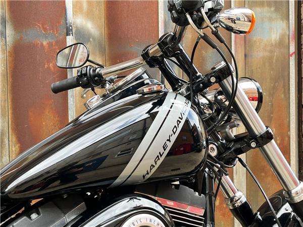 2015 Harley-Davidson Dyna