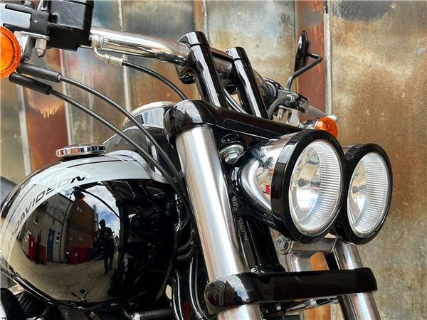 2015 Harley-Davidson Dyna