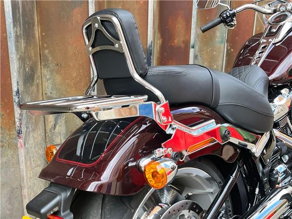 2022 Harley-Davidson Softail