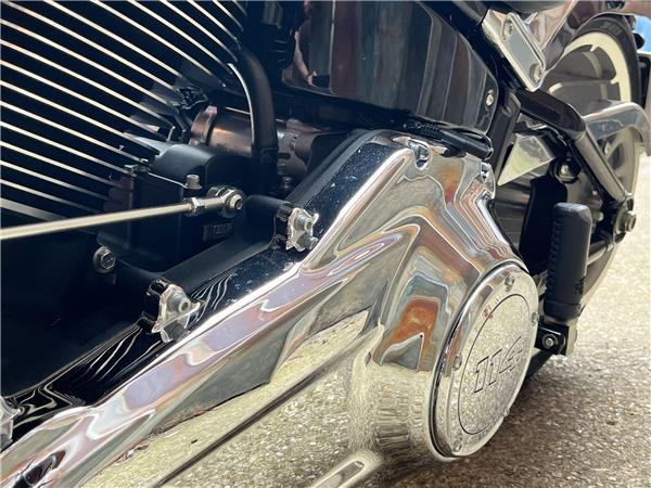 2022 Harley-Davidson Softail
