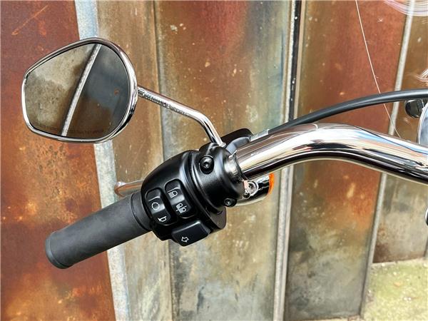 2022 Harley-Davidson Softail