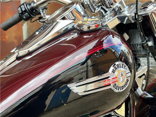 2022 Harley-Davidson Softail