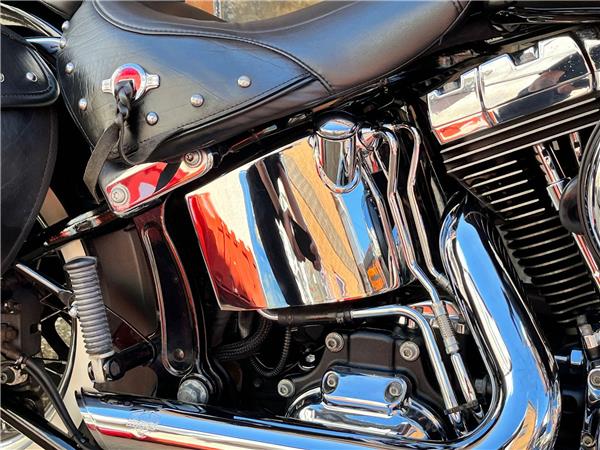2015 Harley-Davidson Softail
