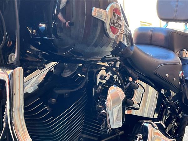 2015 Harley-Davidson Softail