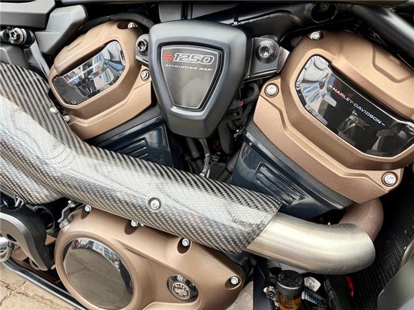 2022 HARLEY-DAVIDSON SPORTSTER S