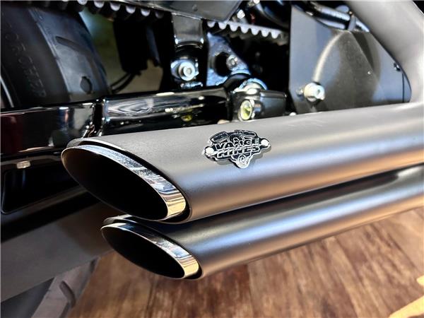 2017 Harley-Davidson Sportster
