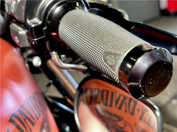 2017 Harley-Davidson Sportster