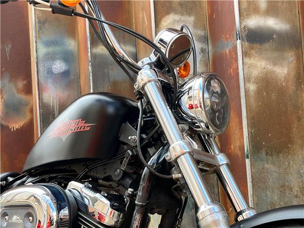 2014 Harley-Davidson Sportster