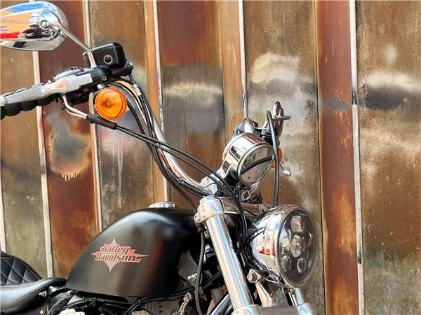 2014 Harley-Davidson Sportster