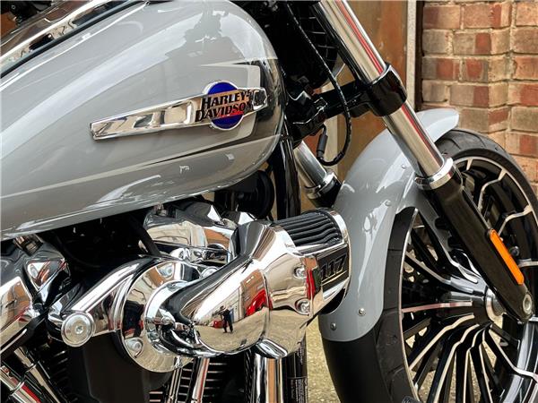 2024 Harley-Davidson Softail