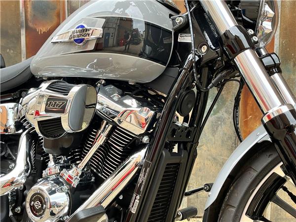 2024 Harley-Davidson Softail