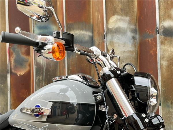2024 Harley-Davidson Softail