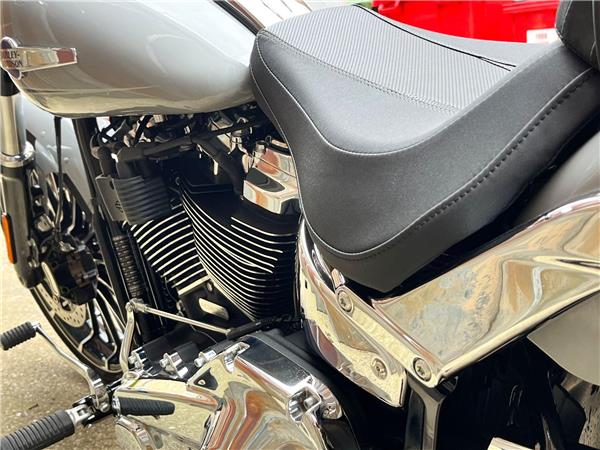 2024 Harley-Davidson Softail