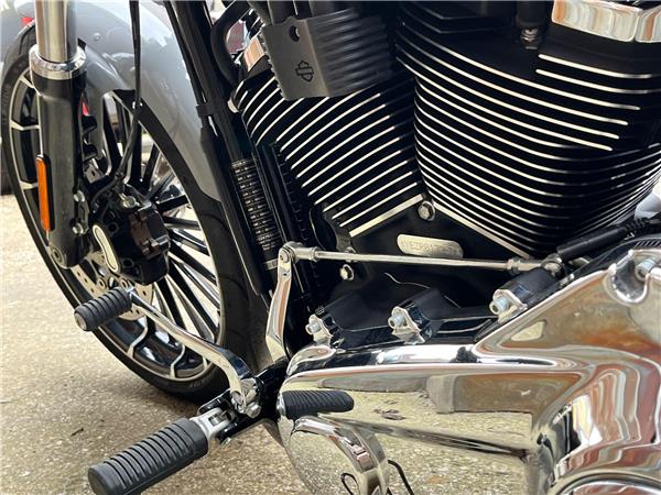 2024 Harley-Davidson Softail