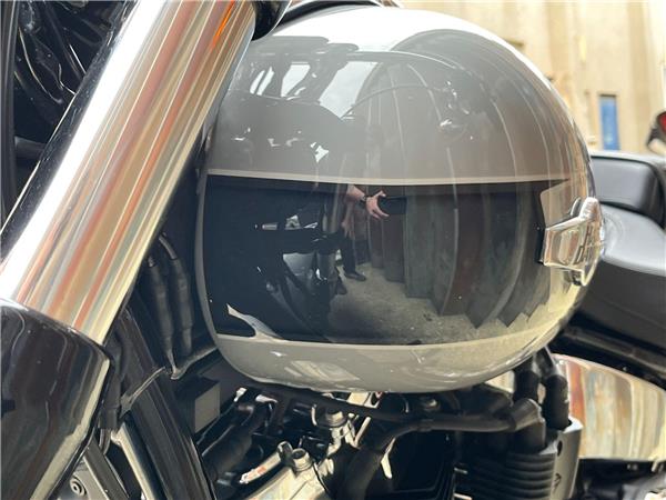 2024 Harley-Davidson Softail