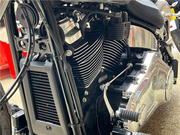 2024 Harley-Davidson Softail