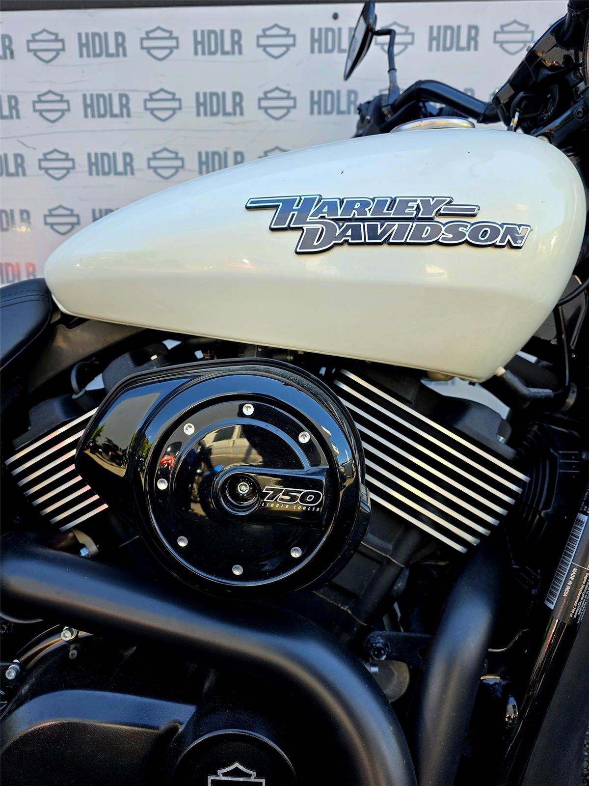 2019 HARLEY-DAVIDSON STREET